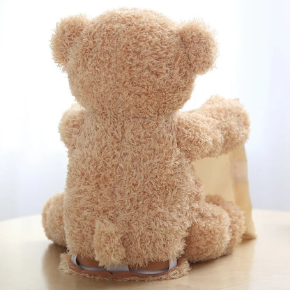 Hide and Seek Bear Plush Toy